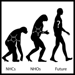 Evolution of NH's